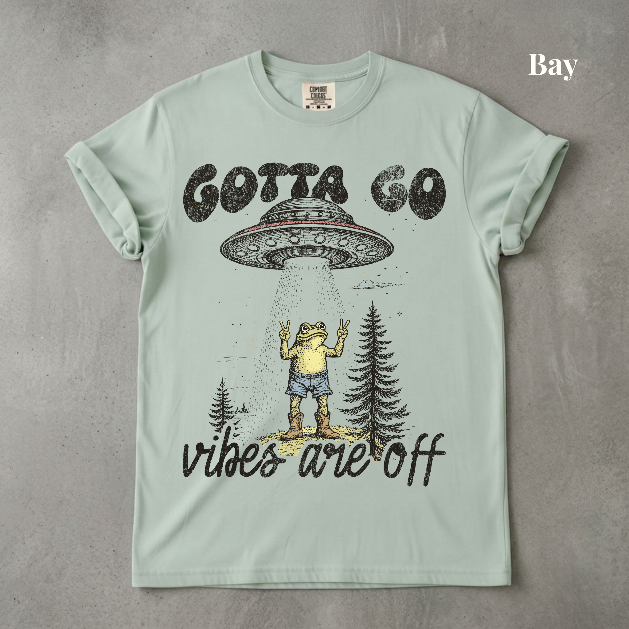 Vibes Are Off Graphic Tee - PRE ORDER