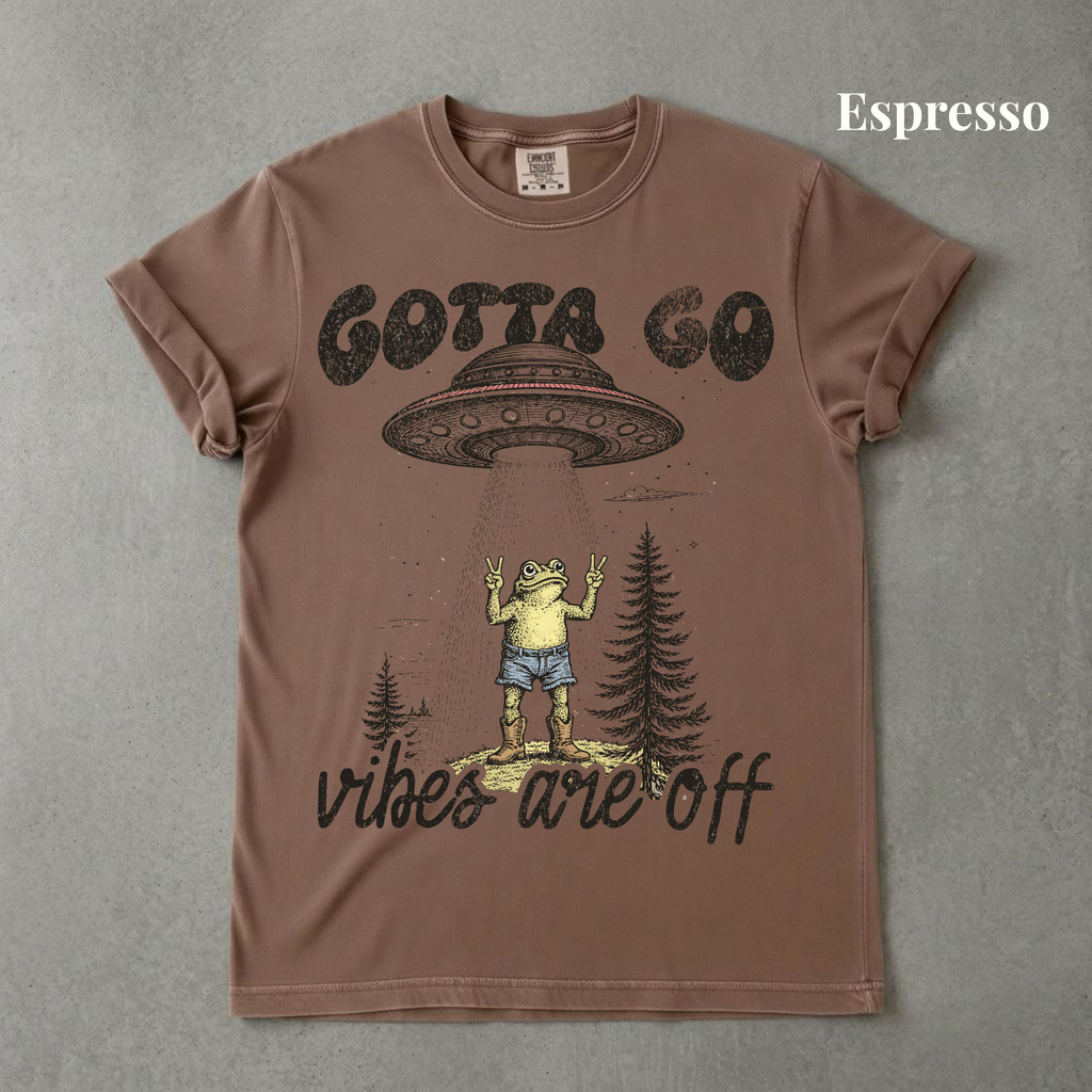 Vibes Are Off Graphic Tee - PRE ORDER