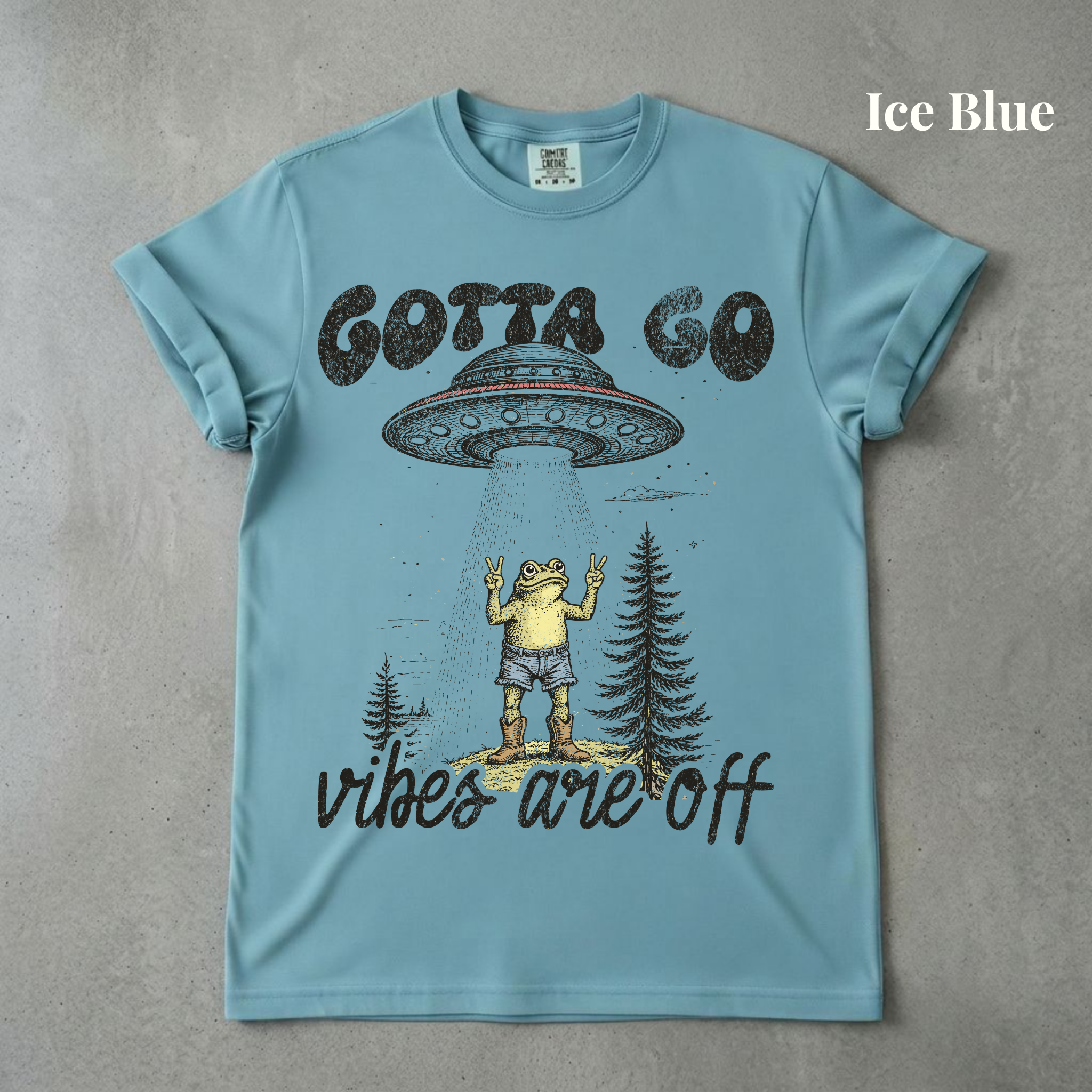 Vibes Are Off Graphic Tee - PRE ORDER