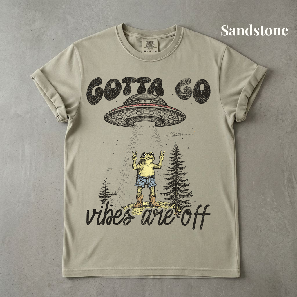 Vibes Are Off Graphic Tee - PRE ORDER