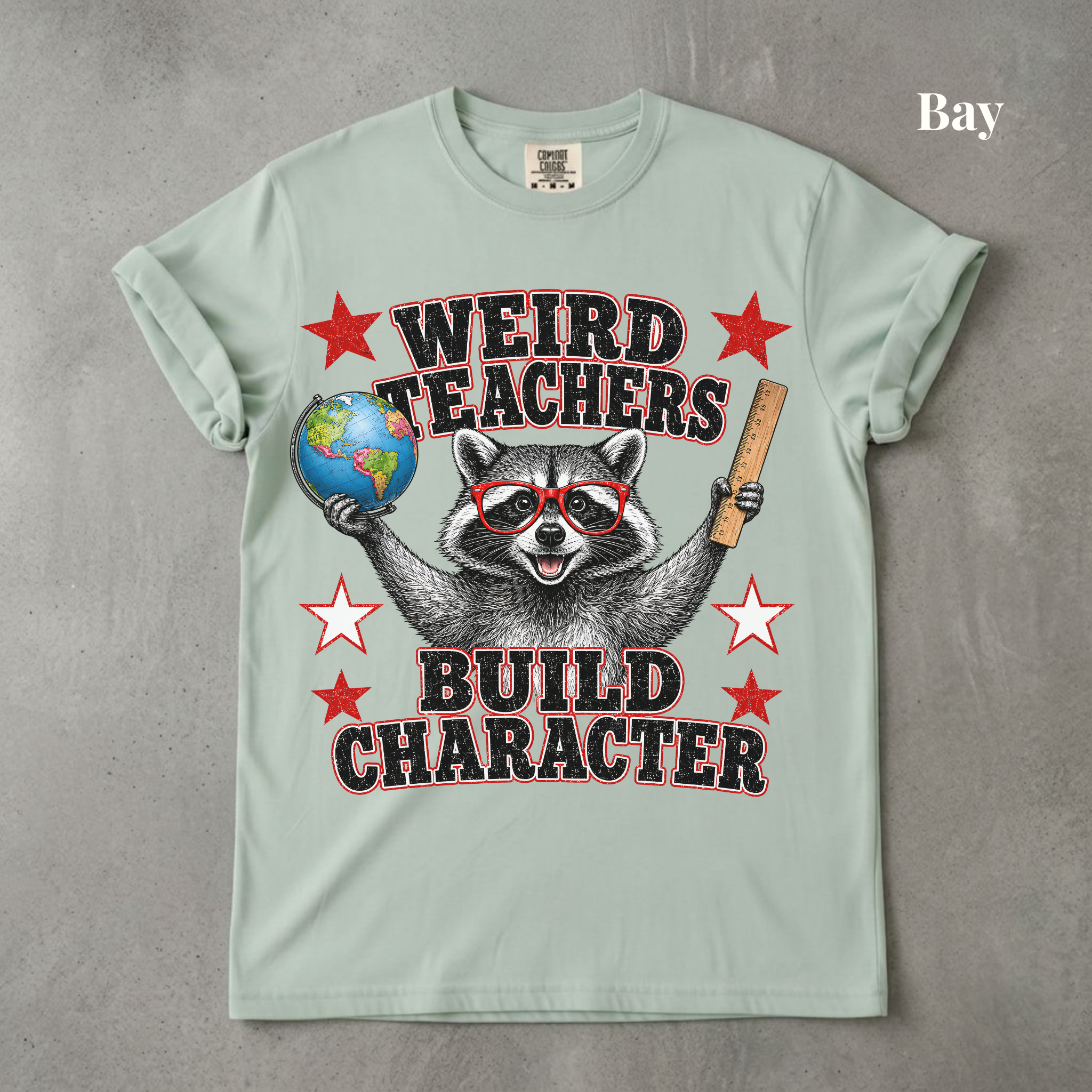 Weird Teachers Build Character Raccoon Tee - PRE ORDER