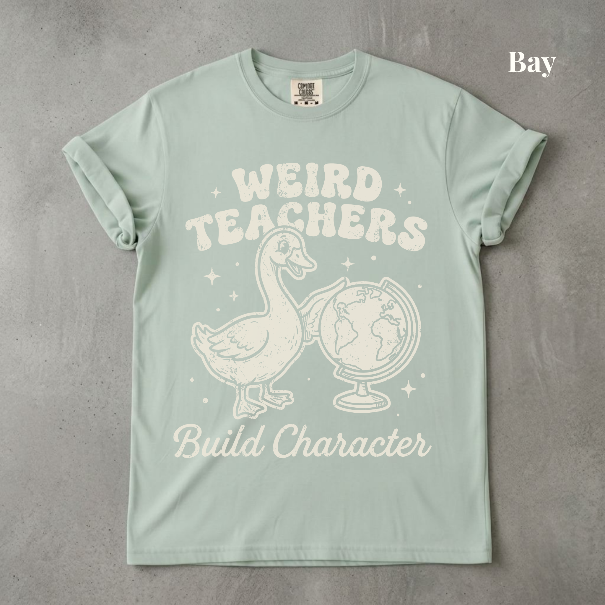 Weird Teachers Build Character - PRE ORDER