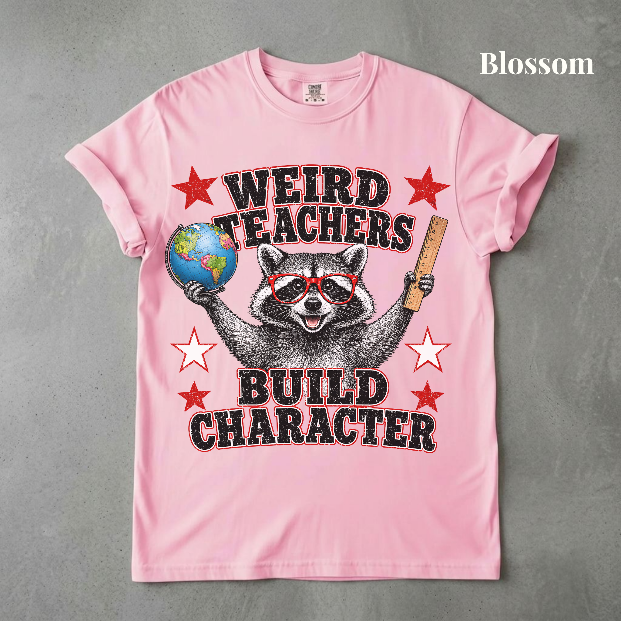 Weird Teachers Build Character Raccoon Tee - PRE ORDER
