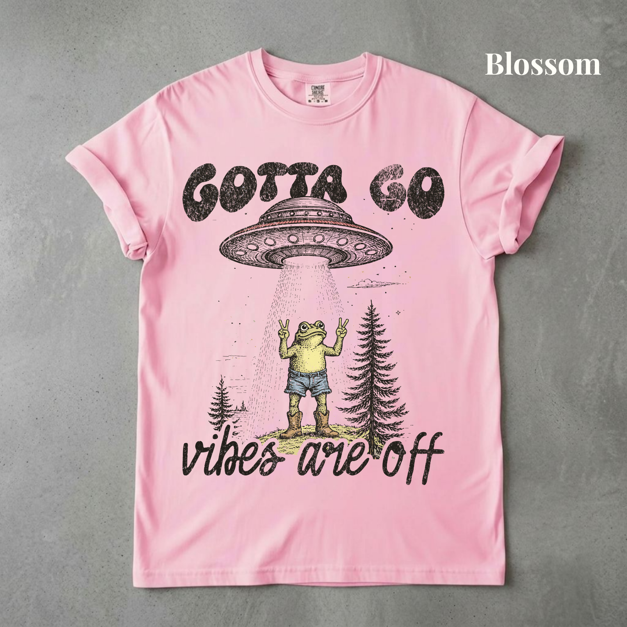 Vibes Are Off Graphic Tee - PRE ORDER