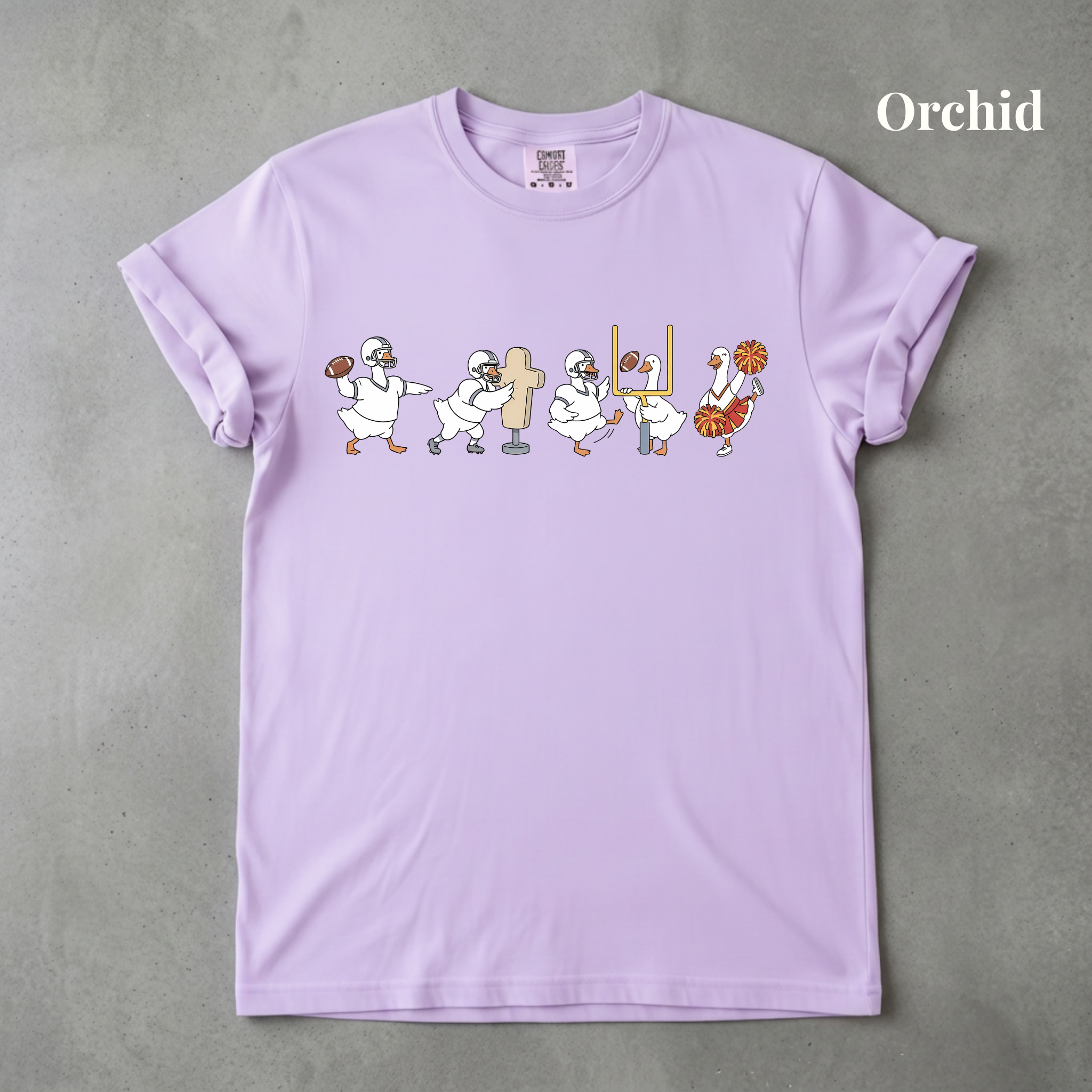 Game Day Geese Graphic Tee