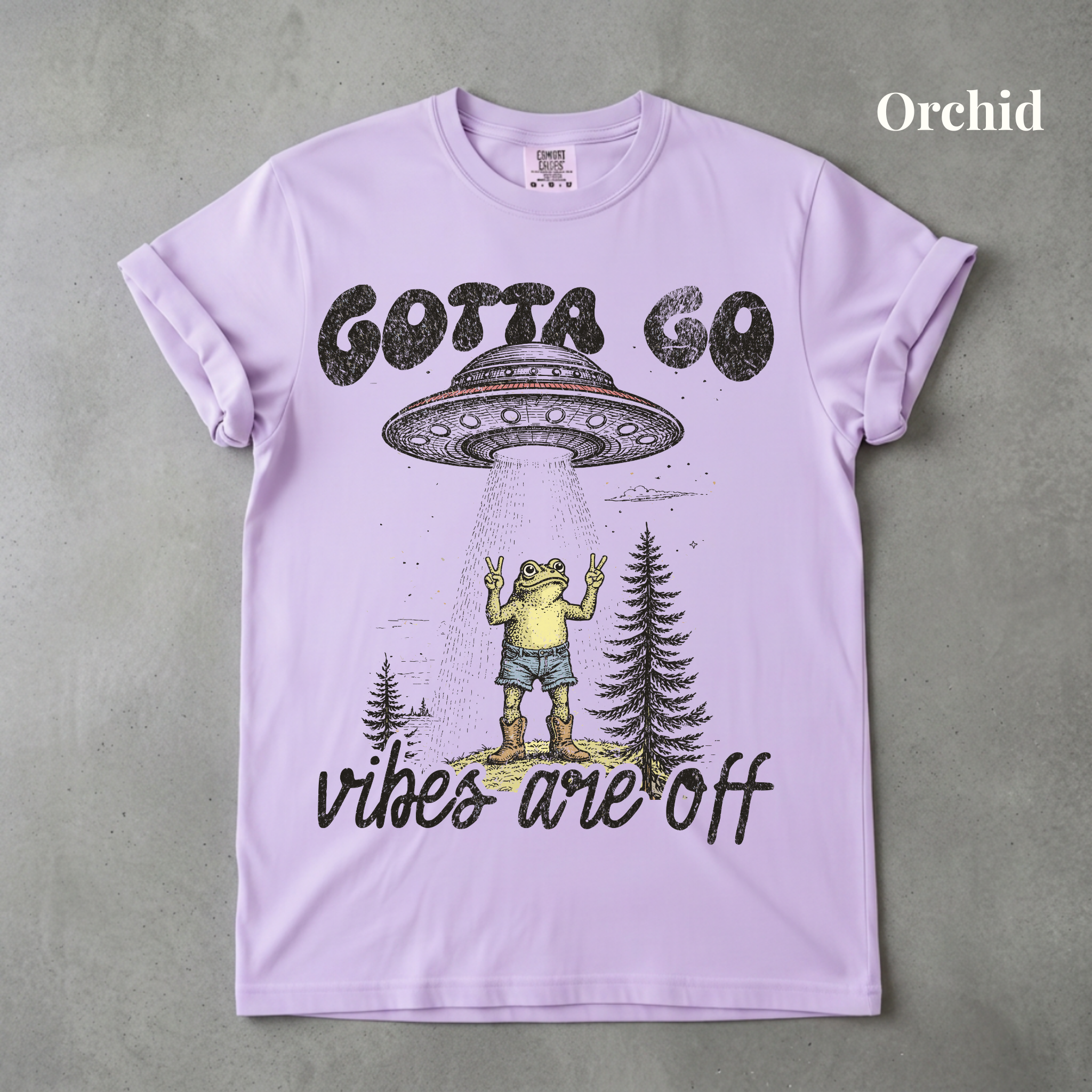 Vibes Are Off Graphic Tee - PRE ORDER