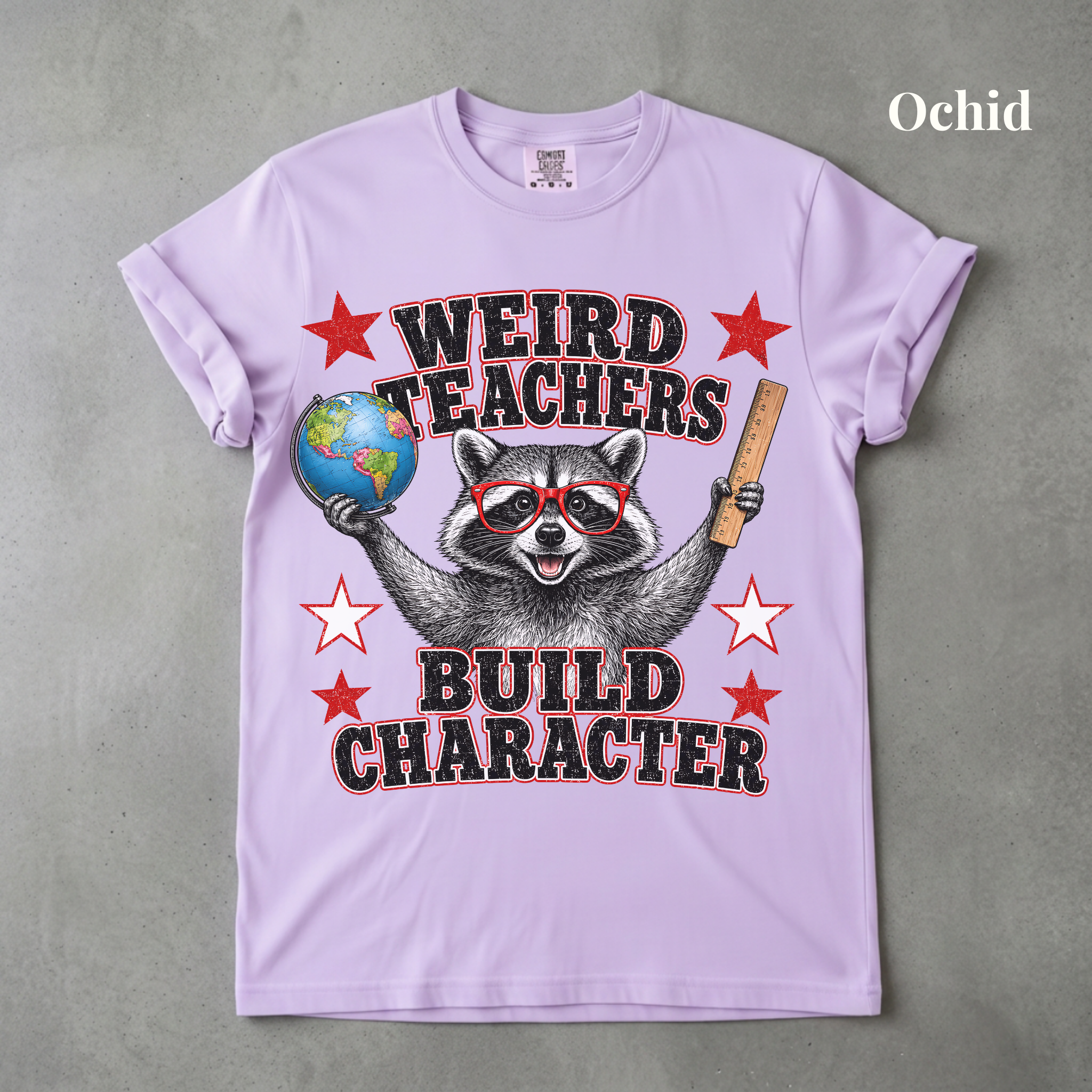 Weird Teachers Build Character Raccoon Tee - PRE ORDER